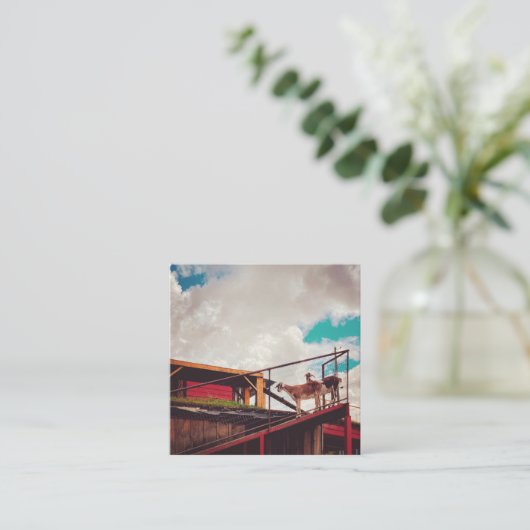 geiten op het dak vierkante visitekaartje (Staand voorkant)