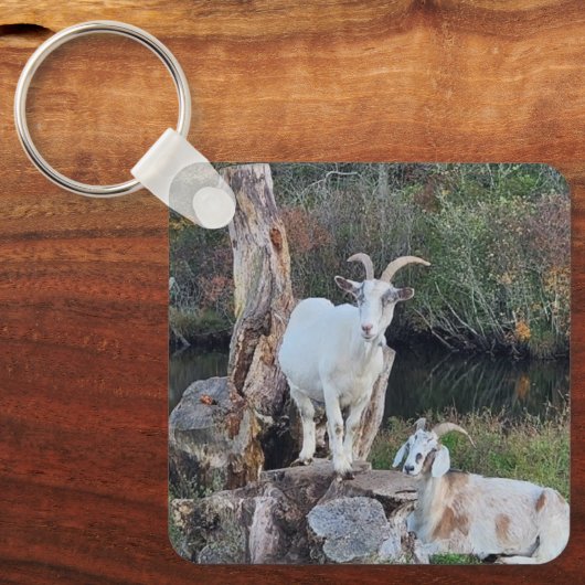 Geiten Sleutelhanger (Voorkant)