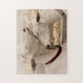 Geiten smokkelen legpuzzel (Verticaal)