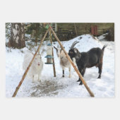 Geiten sneeuwfeeder Foto Inpakpapier Vel (Voorkant 3)