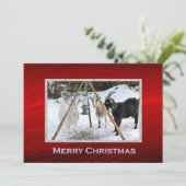 Geiten Sneeuwfeeder Foto Kerst Flat Feestdagenkaart (Staand voorkant)