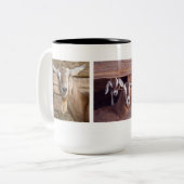 Geiten Tweekleurige Koffiemok (Voorkant links)