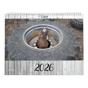 Geiten van 2026 kalender