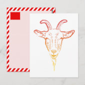 geitenafbeelding briefkaart (Voorkant / Achterkant)