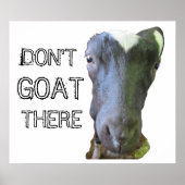 Geitenafdrukken "NIET GOAT ER" Poster (Voorkant)