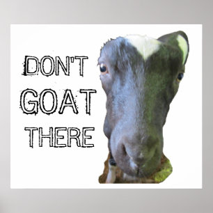 Geitenafdrukken "NIET GOAT ER" Poster