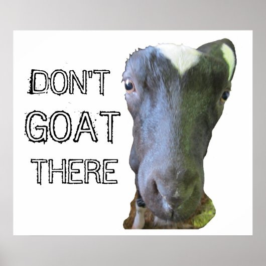 Geitenafdrukken "NIET GOAT ER" Poster (Voorkant)