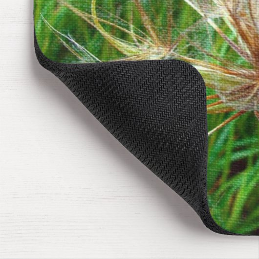 Geitenbaard Muismat (Hoek)