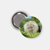 Geitenbaard Wildflower Magneet (Voorkant / Achterkant)
