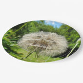 Geitenbaard Wildflower Paper Bord (Gekanteld)