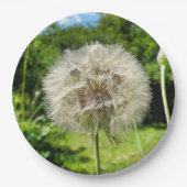 Geitenbaard Wildflower Paper Bord (Voorkant)