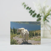 Geitenberg in Glacier National Park Briefkaart (Staand voorkant)
