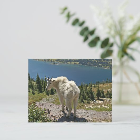 Geitenberg in Glacier National Park Briefkaart (Staand voorkant)
