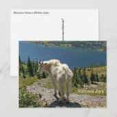 Geitenberg in Glacier National Park Briefkaart (Voorkant / Achterkant)