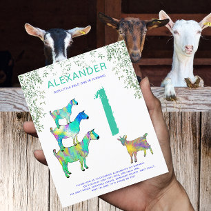 Geitenboerderij Dier Wilde Eén Verjaardagsfeest Bu