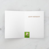 Geitenbrood, geit, geit kaart (Binnen)