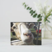 Geitendicht Briefkaart (Staand voorkant)