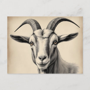 Geitenetsen in fijne lijnen briefkaart