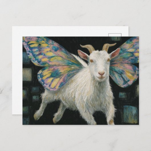 geitenfee briefkaart (Voorkant / Achterkant)