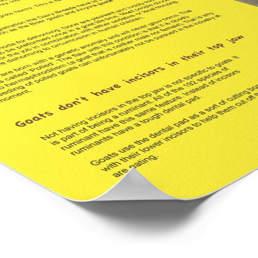 Geitenfeiten Poster 2 (Hoek)