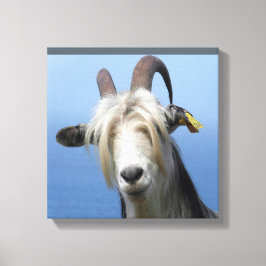 geitenhaar canvas afdruk