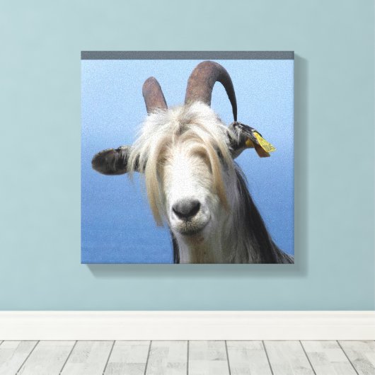 geitenhaar canvas afdruk (Insitu (Houten vloer))