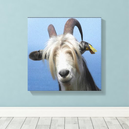 geitenhaar canvas afdruk (Insitu (Houten vloer))