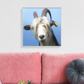 geitenhaar canvas afdruk (Insitu (Woonkamer))