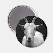 Geitenhoorn ram aangepaste personaliseren jubilea magneet (Voorkant / Achterkant)