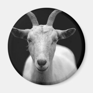 Geitenhoorn ram aangepaste personaliseren jubilea magneet