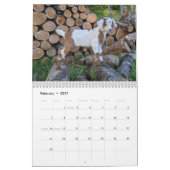 Geitenkalender Kalender (Feb 2027)