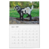 Geitenkalender Kalender (Mar 2027)