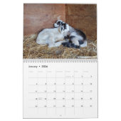 Geitenkalender Kalender (Jan 2026)
