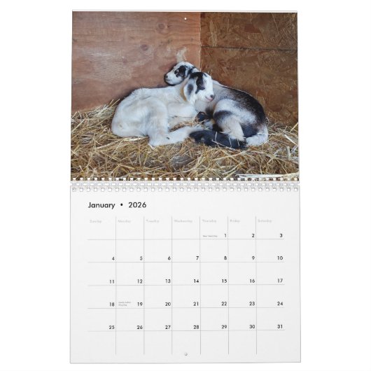 Geitenkalender Kalender (Jan 2026)