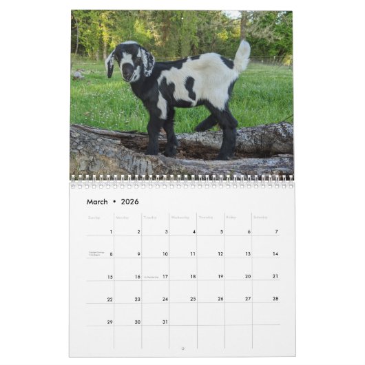 Geitenkalender Kalender (Mar 2026)