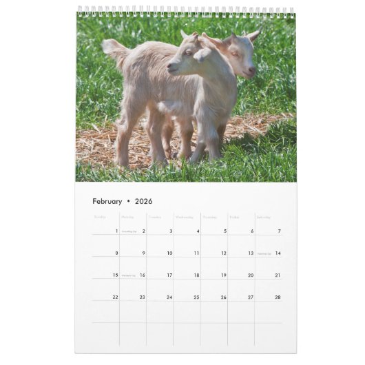 geitenkalender kalender (Feb 2026)
