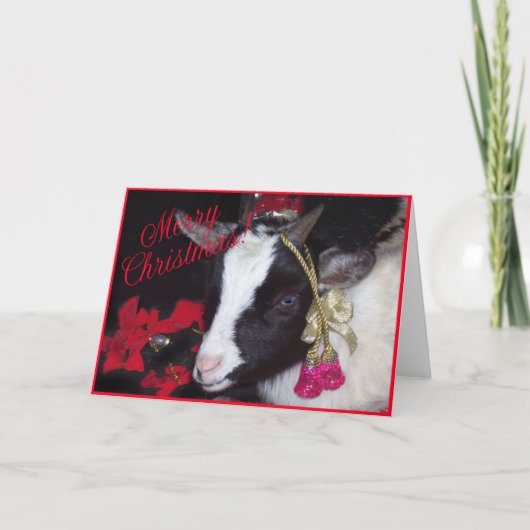 GeitenkerstKaart Rufus Feestdagen Kaart (Voorkant)