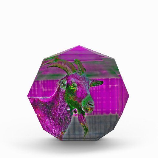 Geitenkunst Fotoblokken (Voorkant)