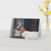 Geitenkussen gepersonaliseerde groet kaart (Gele Bloem)