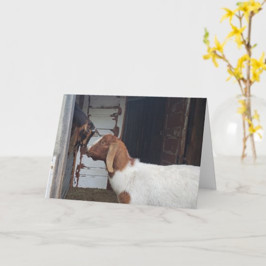 Geitenkussen gepersonaliseerde groet kaart (Gele Bloem)