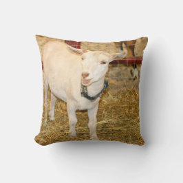 Geitenlammeren, open mond kussen