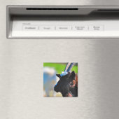 Geitenmagneet Magneet (Insitu (Vaatwasser))