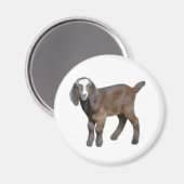 Geitenmagneten Magneet (Voorkant / Achterkant)