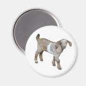 Geitenmagneten Magneet (Voorkant / Achterkant)