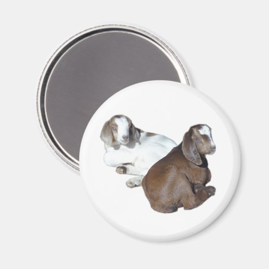 Geitenmagneten Magneet (Voorkant / Achterkant)