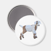 Geitenmagneten Magneet (Voorkant / Achterkant)