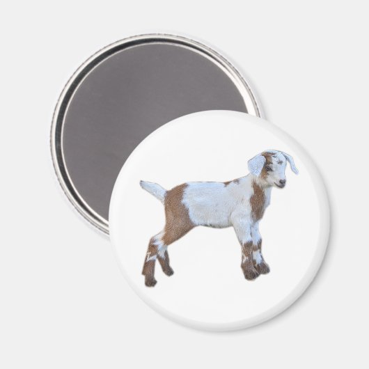 Geitenmagneten Magneet (Voorkant / Achterkant)