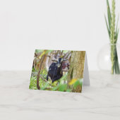 Geitenmeling Kaart (Voorkant)