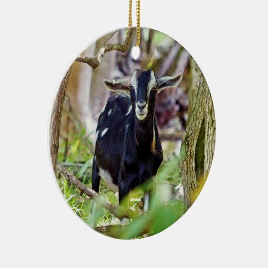 Geitenmeling Keramisch Ornament (Rechts)