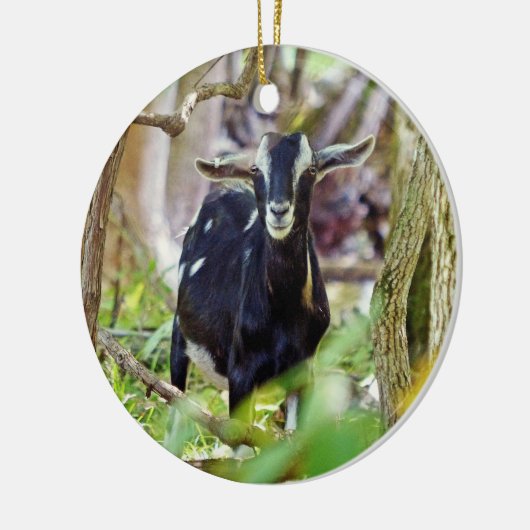 Geitenmeling Keramisch Ornament (Links)